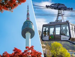 Combo (Save 2%): N Seoul Tower Observatory + Namsan Cable Car Tickets